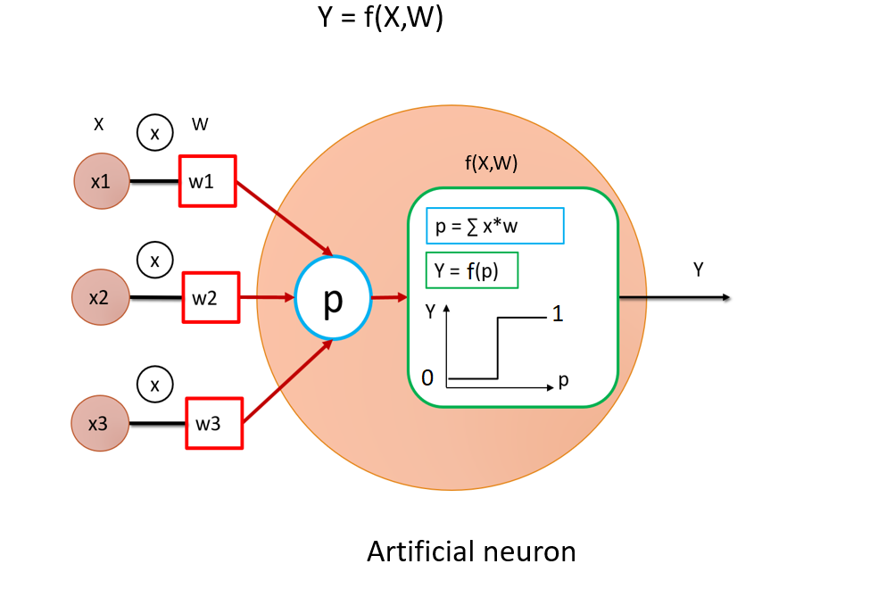 The artificial neuron is a mathematical simplification of a biological neuron, composed of an activation function f (here, we use the step function). The neuron receives a weighted (W) sum of inputs (X), such that its output is y=f(X, W). Note that the action of the neuron is completely deterministic. Moreover, one neurone alone is also non-invertible. Image made by the author.