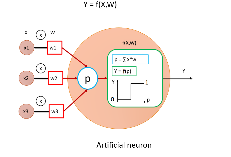 The artificial neuron is a mathematical simplification of a biological neuron, composed of an activation function f (here, we use the step function). The neuron receives a weighted (W) sum of inputs (X), such that its output is y=f(X, W). Note that the action of the neuron is completely deterministic. Moreover, one neurone alone is also non-invertible; Image generated by the author.